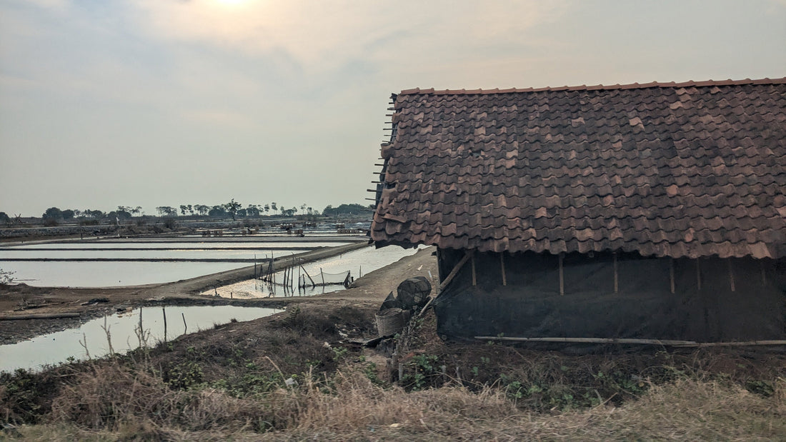De Jakarta à Jepara : un voyage en train au cœur de Java