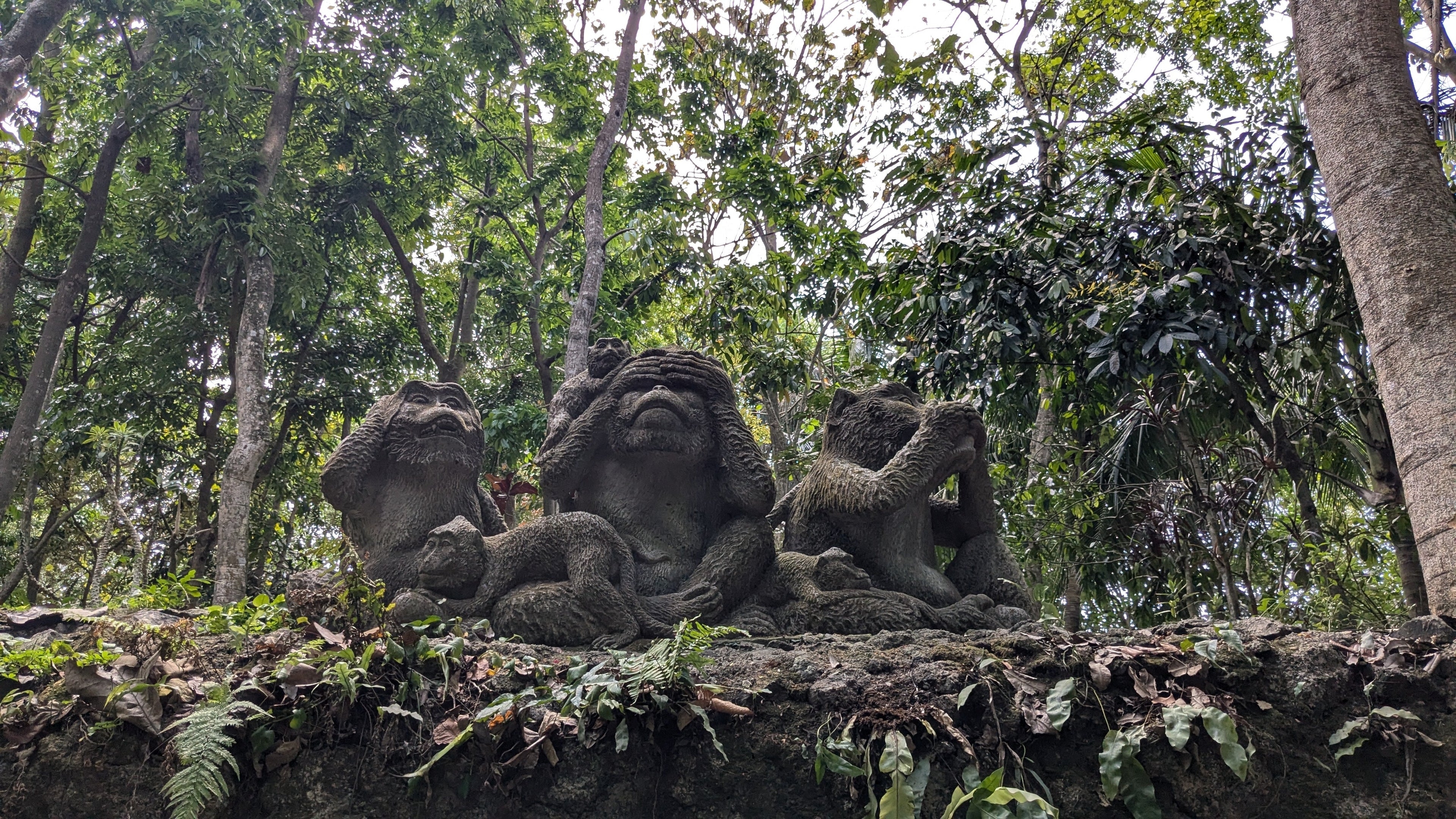 Premiers pas à Bali : d'Ubud aux singes de la Monkey Forest